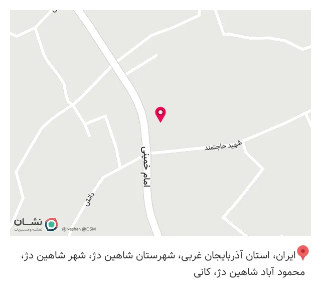 پیتزا تک