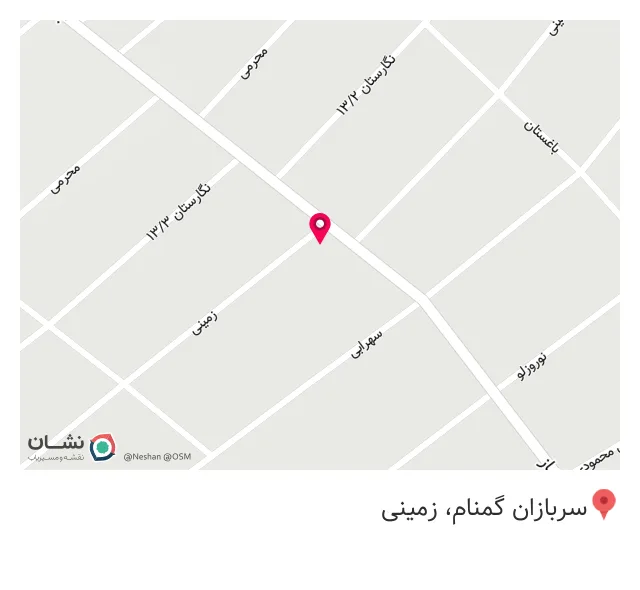 کامپیوتر دلفین