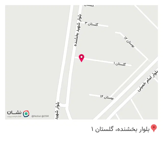 پیتزا پاریس.