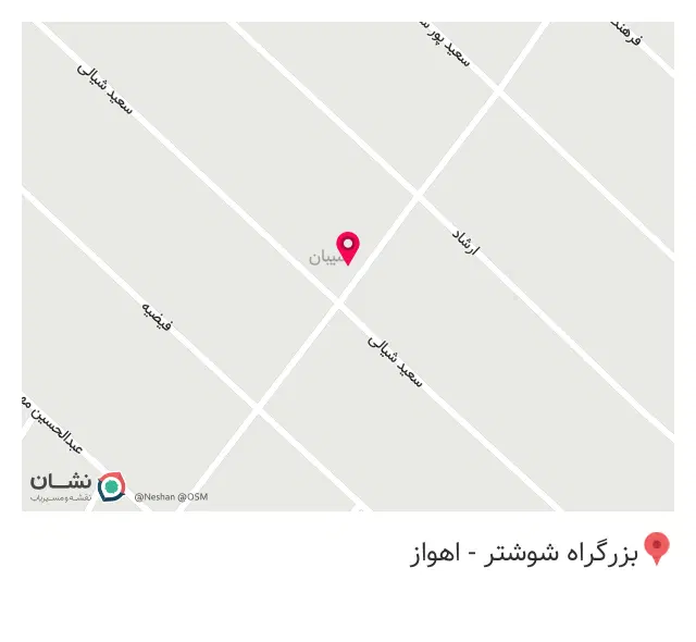پیتزا برگر ناب