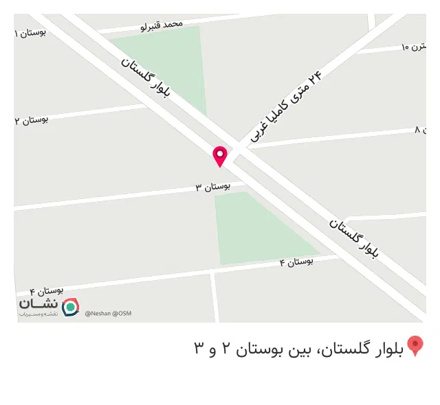فست فود دو آتیشه