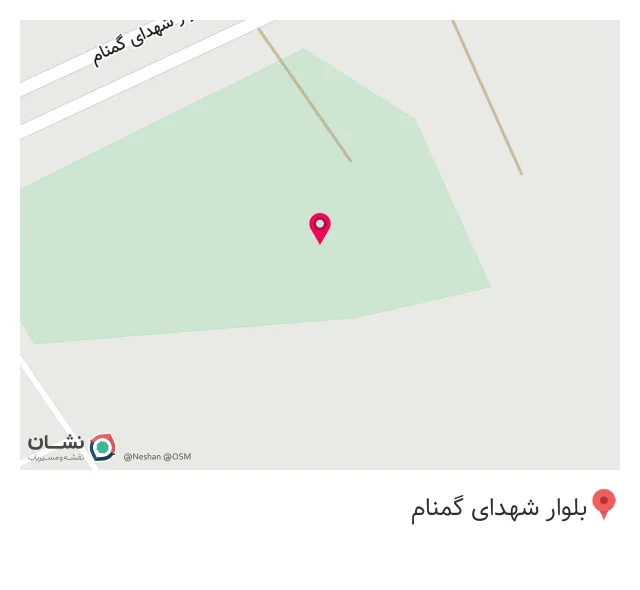 جیگر طلا