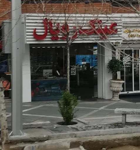 عینک رویال