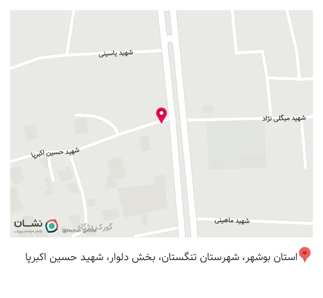 پیتزا و ساندویچ کولاک
