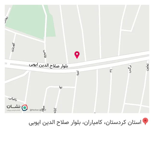 پو کافی