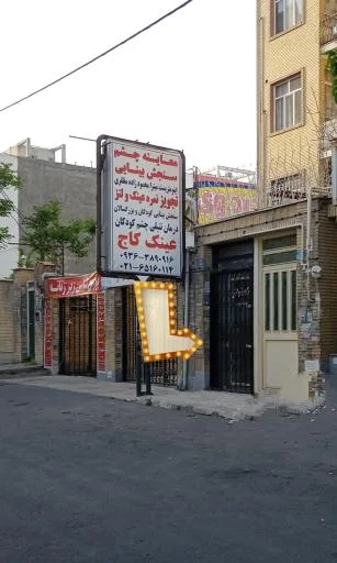 عینک کاج