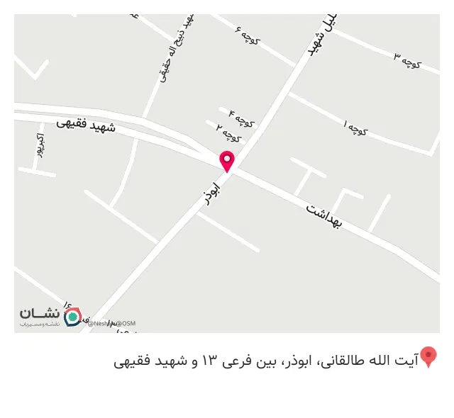 پیتزا برگر شکوفه