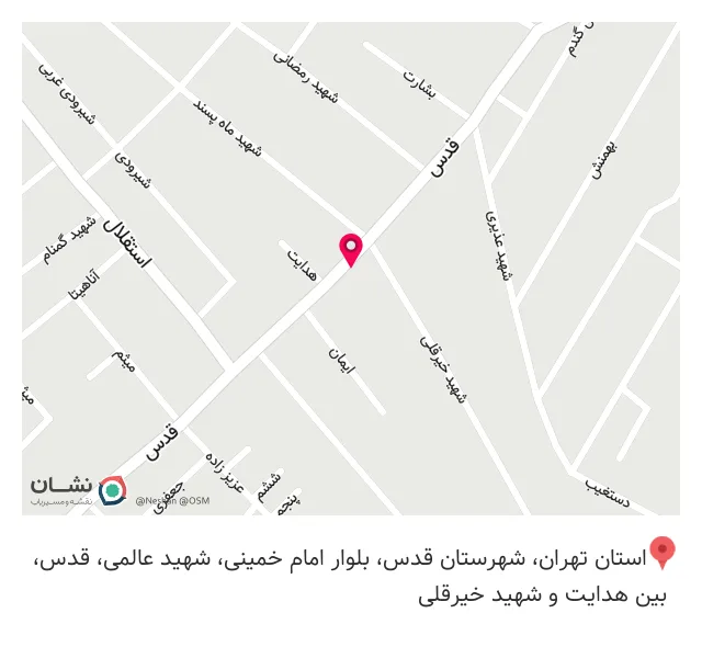 ساندویچ و پیتزا ماهور
