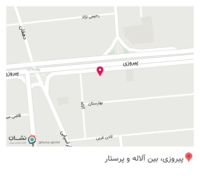 اورژانس کامپیوتر آریان سیستم