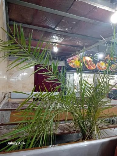 کبابی آرکا