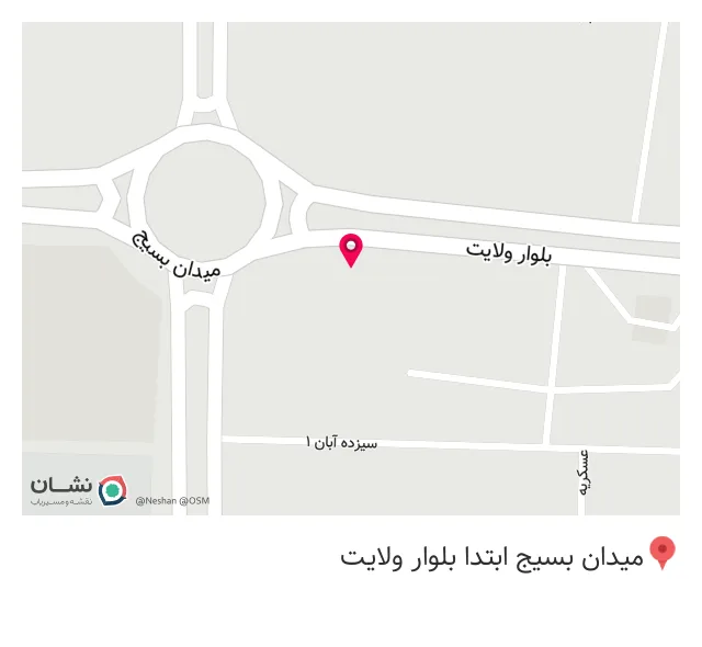 پیتزا زیتون طاهری