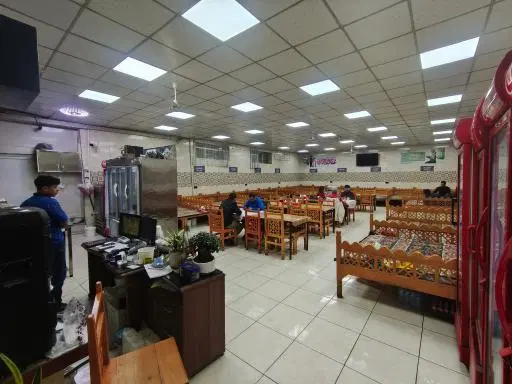 دیزی سید