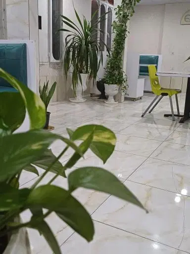 فست فود میامی