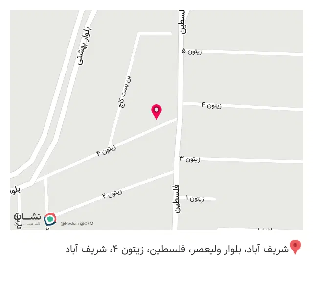 پیتزا فلافل عمو بهمن