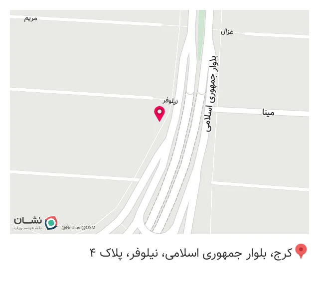 لنی فود