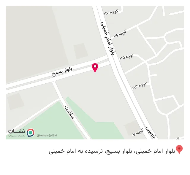 پیتزا شباب
