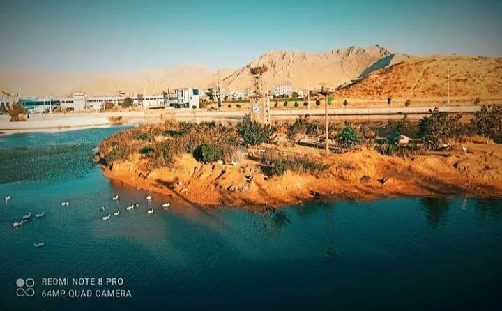جزیره حیوانات انجمن چرۆ