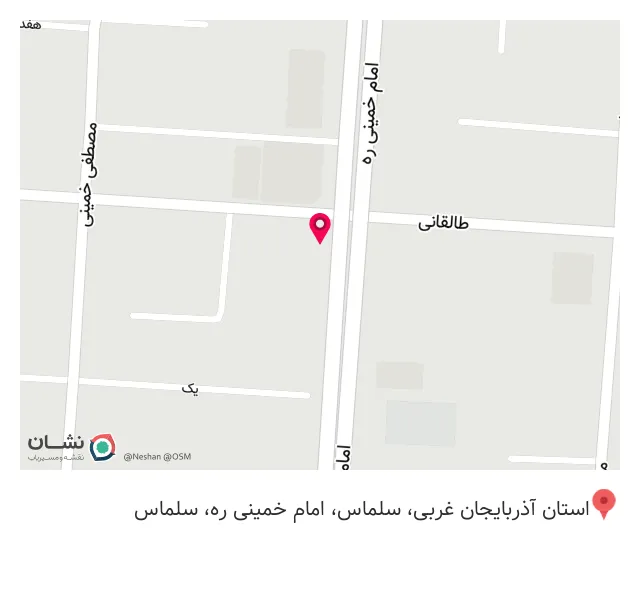 فست فود مش برگر
