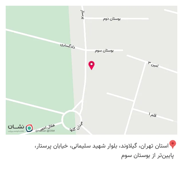 پوشاک گیسو
