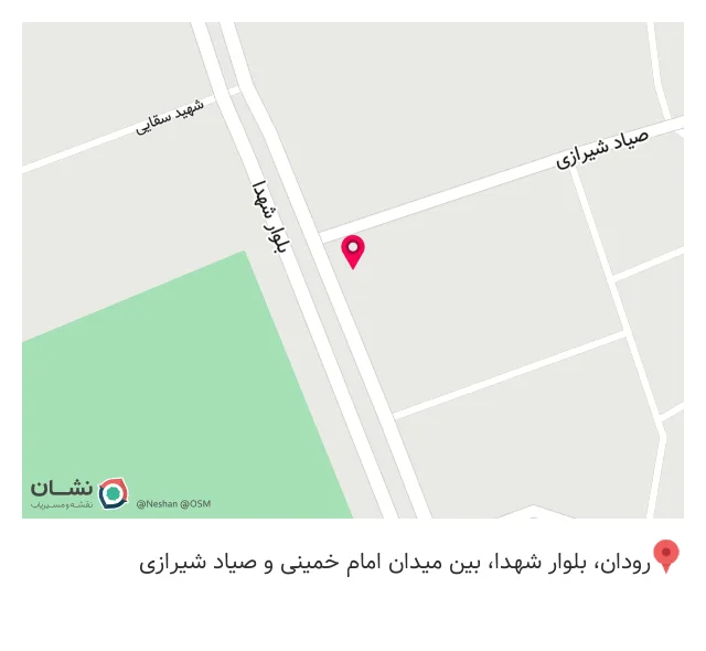 پیتزا مثلث