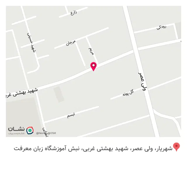 پیتزا در ب در