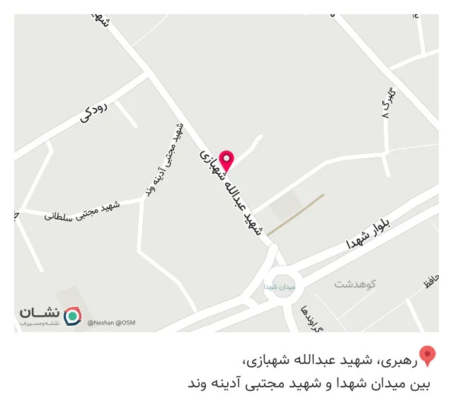 پیتزا شف حمید
