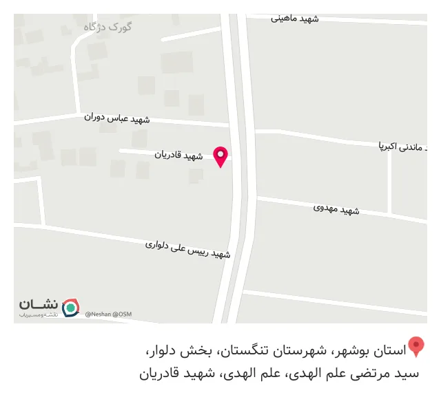 پیتزا ساندویچ شب چهره