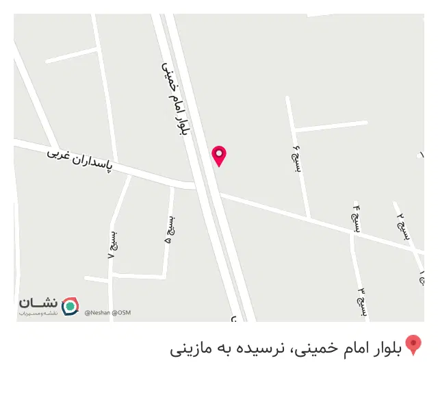 پیتزا آرین توکلی