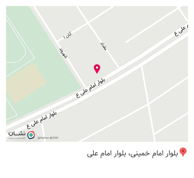پیتزا ونیز