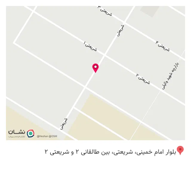 پیتزا دالیز ۲