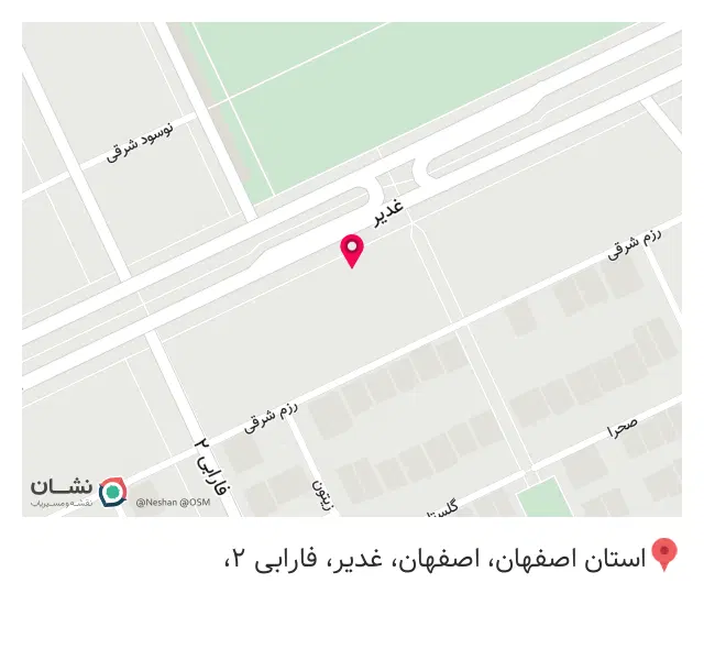 پیتزا نادری