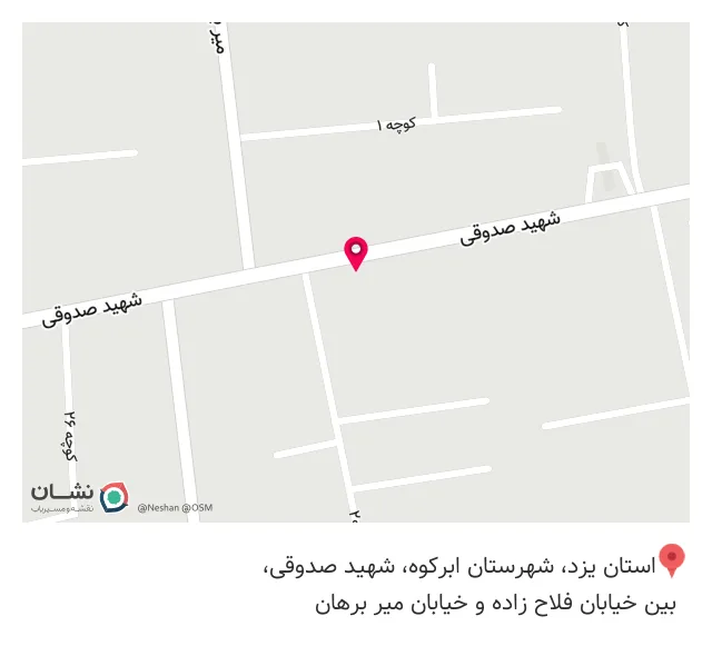 پیتزا و ساندویچ ملچ ملوچ