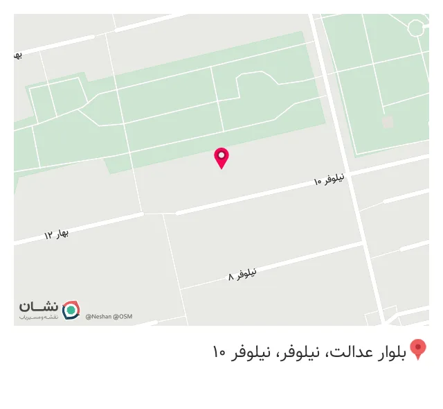 ساندویچ و پیتزا دورهمی