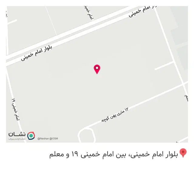 پیتزا دالیا