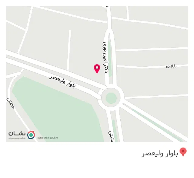 پیتزا و ساندویچ مانی
