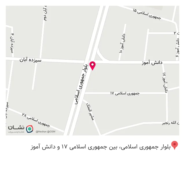 فست فود ۳۱۳