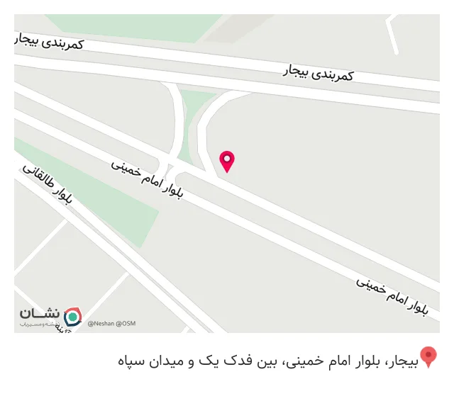 پیتزا بیست