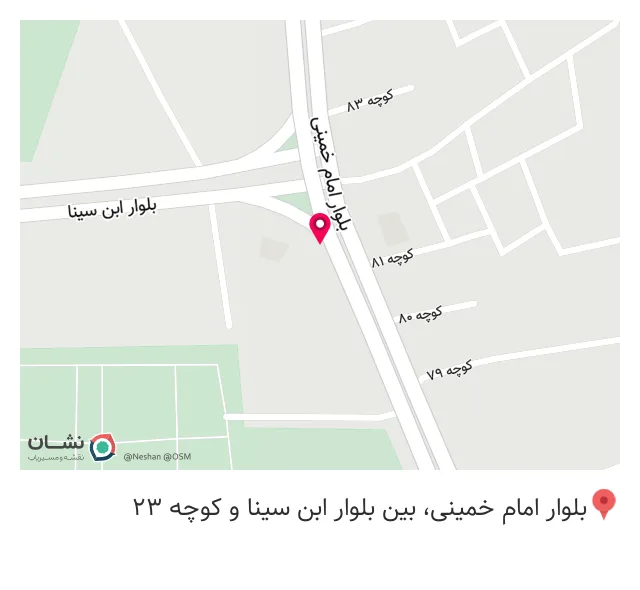پیتزا تو