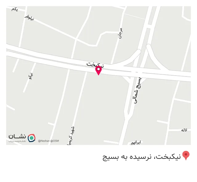 پیتزا برنسی