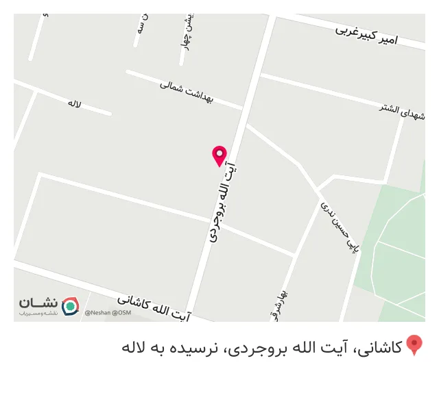 فستفود نادری