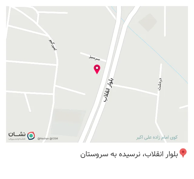پیتزاسپیدار