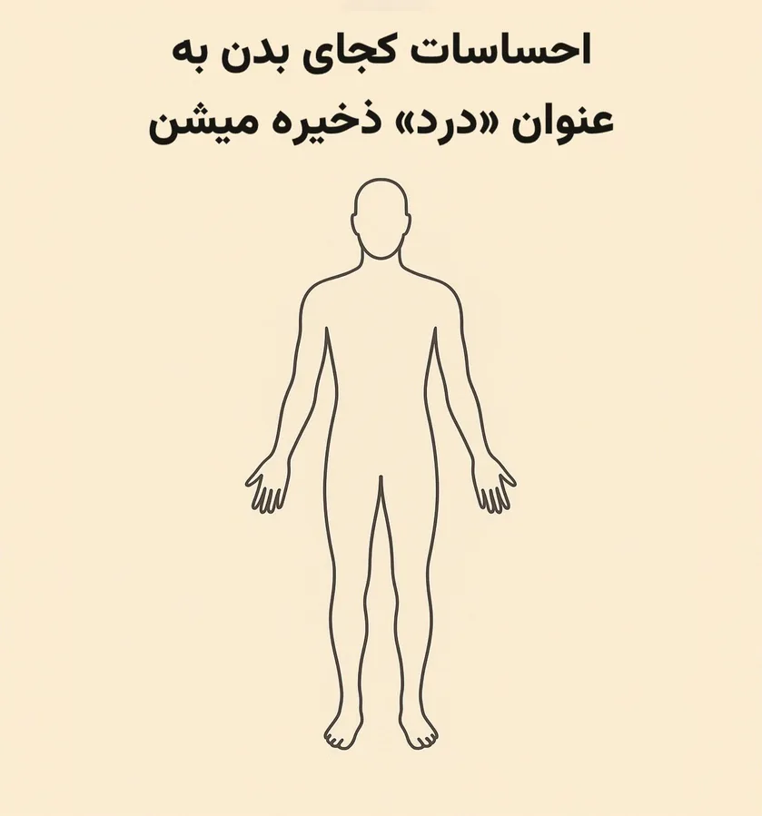 طب سوزنی، طب سنتی، ماساژ،،حجامت ،و...