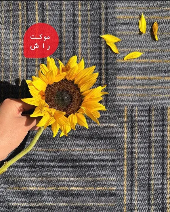 پالاز موکت(نمایندگی خراسانی)