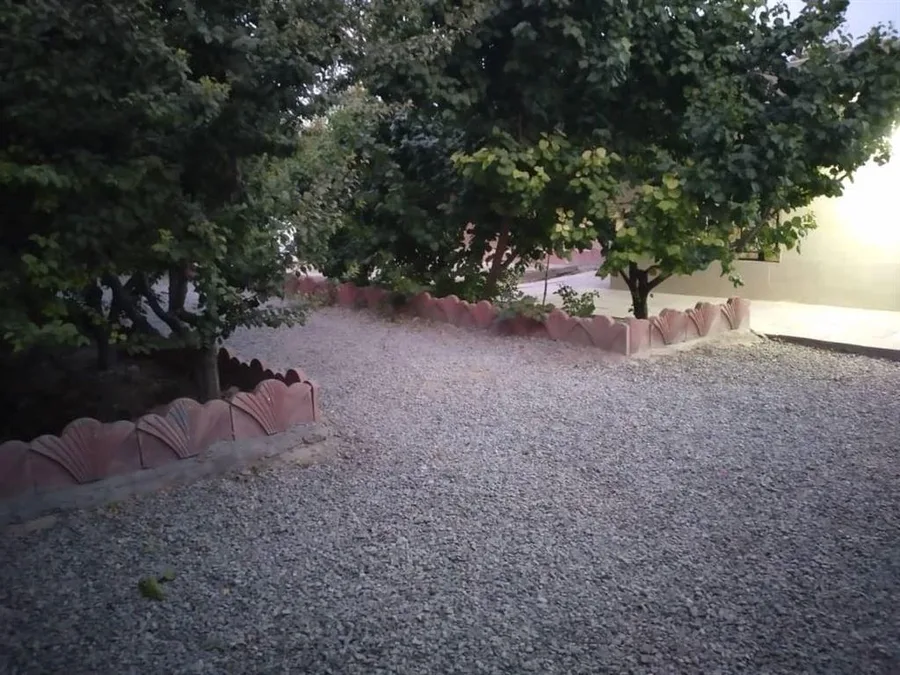 سوییت امیریه