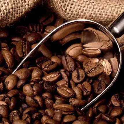 پخش قهوه مولینان