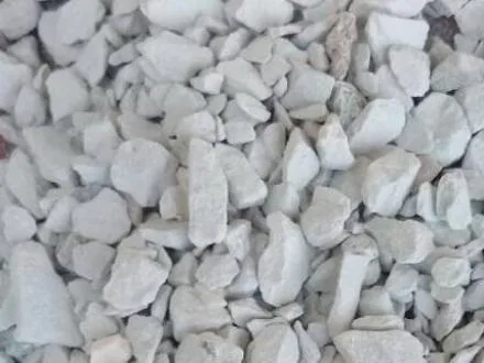 فروش خاک گربه