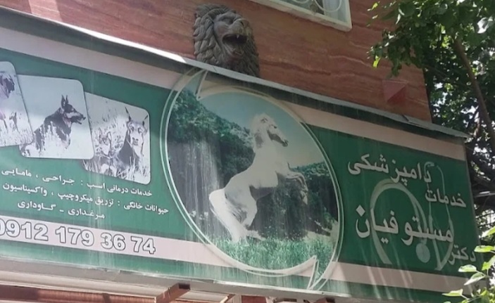 کلینیک دامپزشکی دکتر امین مستوفیان