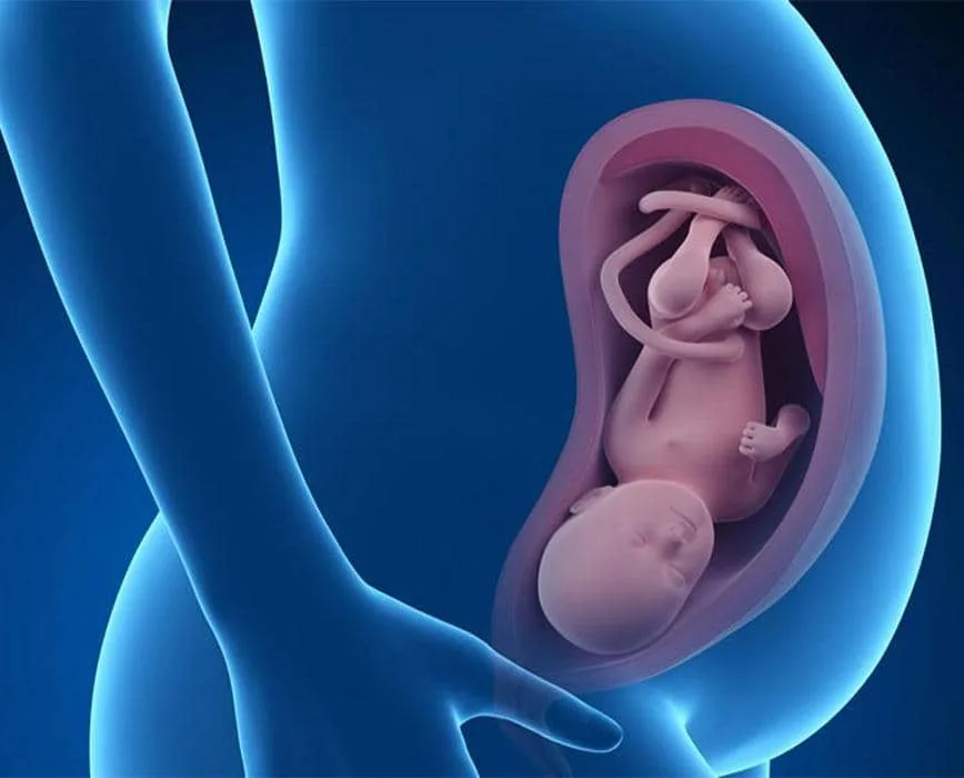 مطب متخصص مامایی دکتر پریوش احمدپور در تبریز