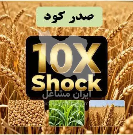 فروشگاه کود ده ایکس شوک پلاس در ساری