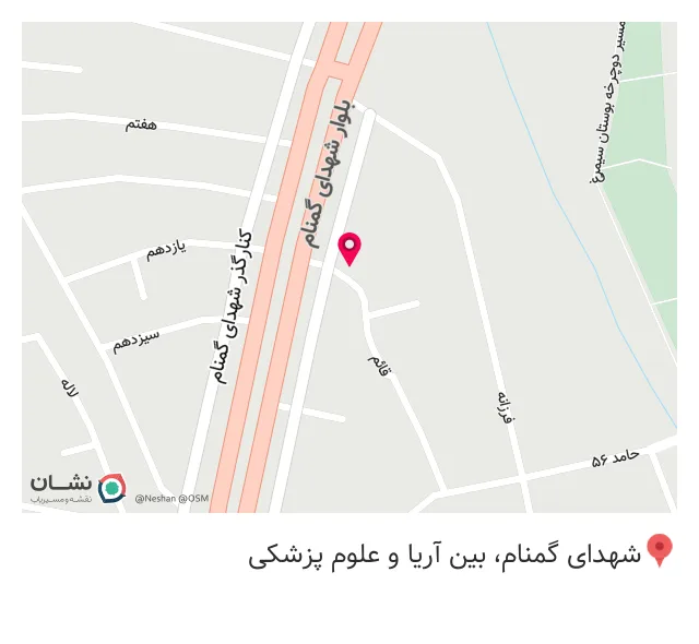 خدمات و چاپ رایان